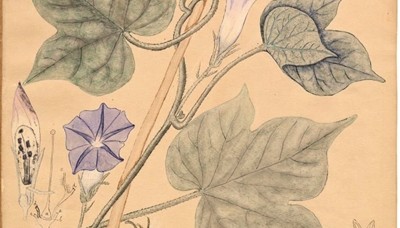  战术板上妙笔生花，暂停布置扭转乾坤